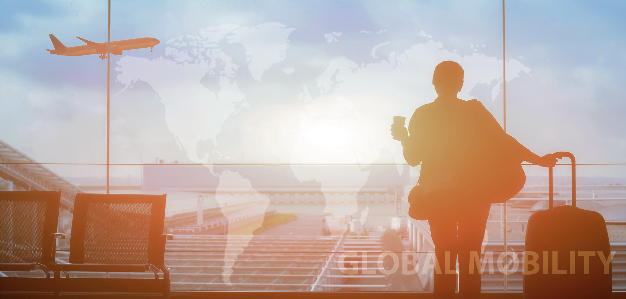 Product: Global Mobility Services | BVS Global