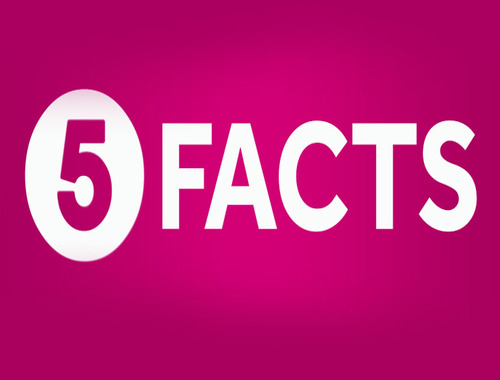 5 Key Facts About Background Verification