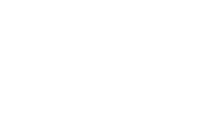 company profile