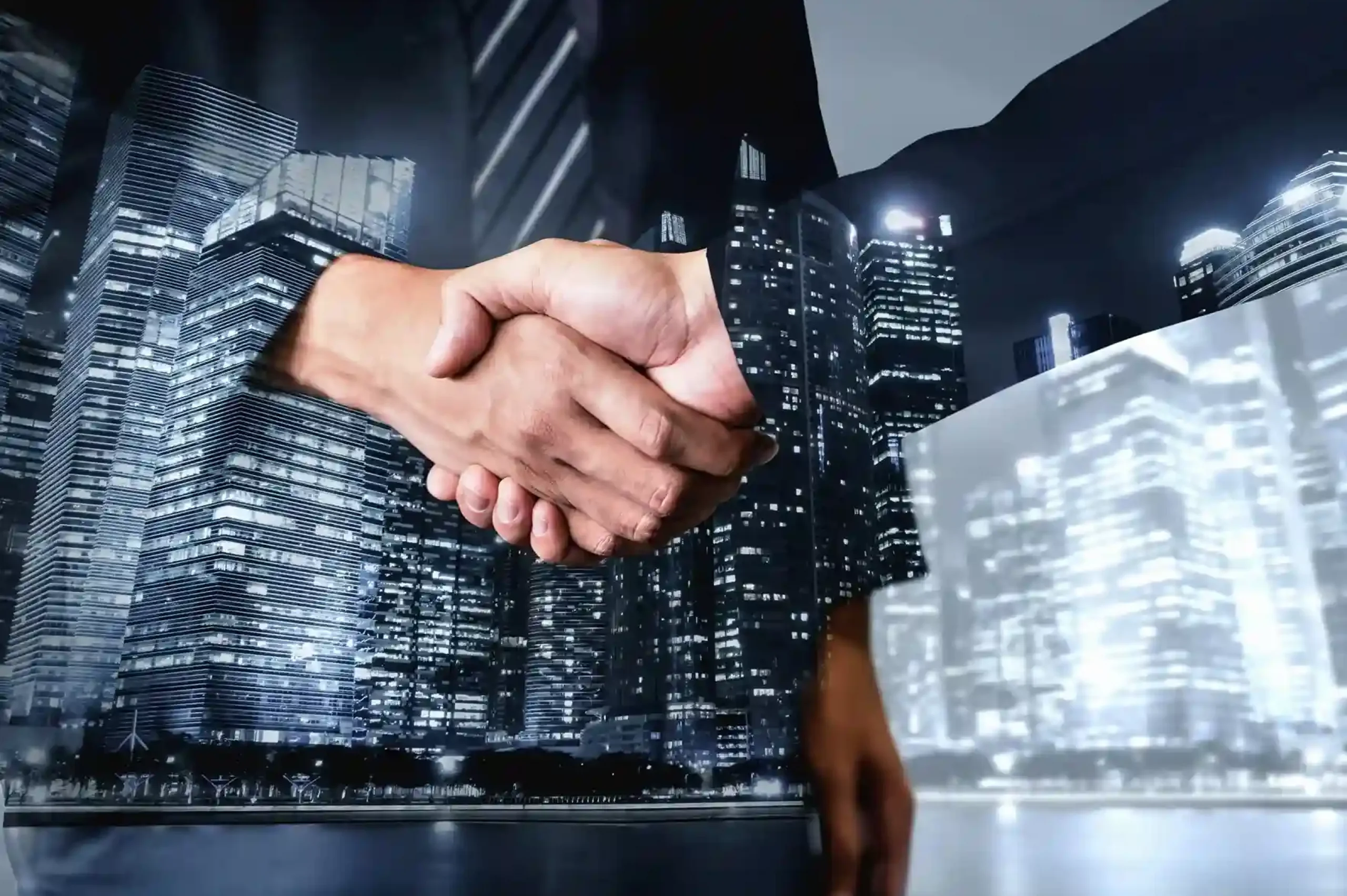 Limited liability company